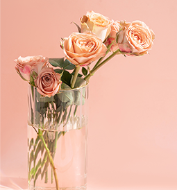 繼續前進 永不止步--致晶宇的她們(圖5)